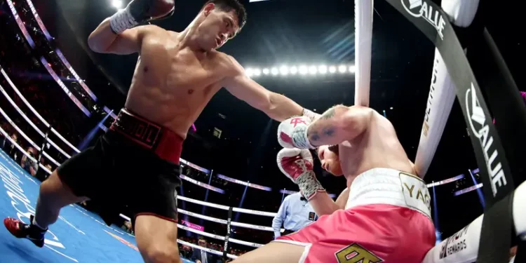 Top 6 Currently Unbeaten Boxers