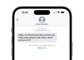 How to Respond to a Text Scammer and Report/Avoid Spam